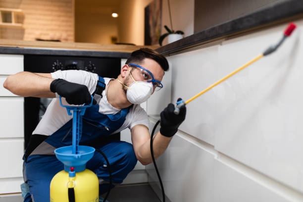 Best Pest Control Treatment  in Kalaeloa, HI