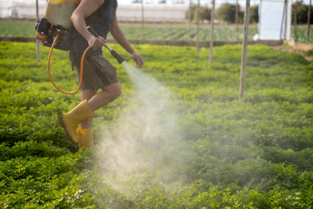 Best Pest Removal Services  in Kalaeloa, HI