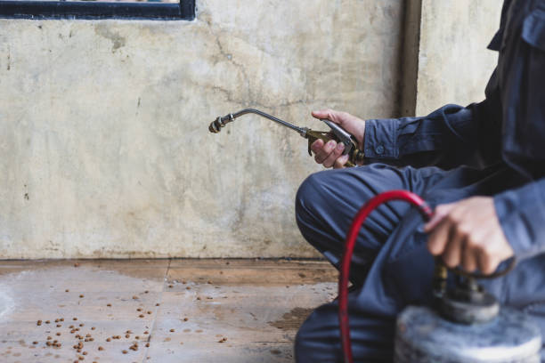 Best Exterminator Services  in Kalaeloa, HI